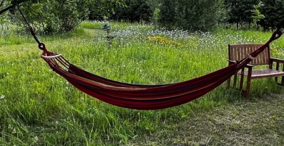 Wild Wins and Lessons from the Land: Nature at Hank’s Ranch