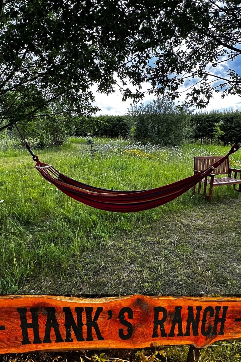 Wild Wins and Lessons from the Land: Nature at Hank’s Ranch